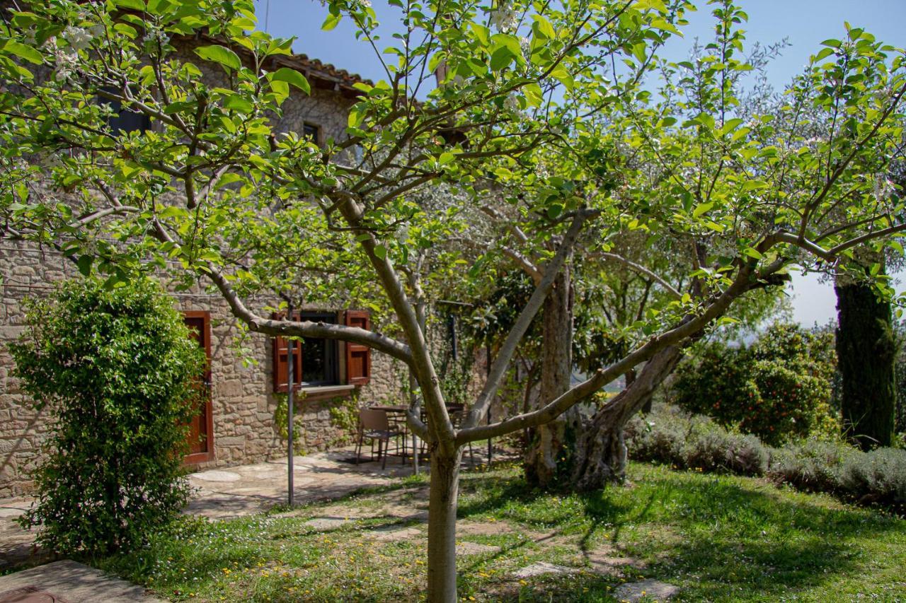 Mas Rovira Pensionat Banyoles Exteriör bild