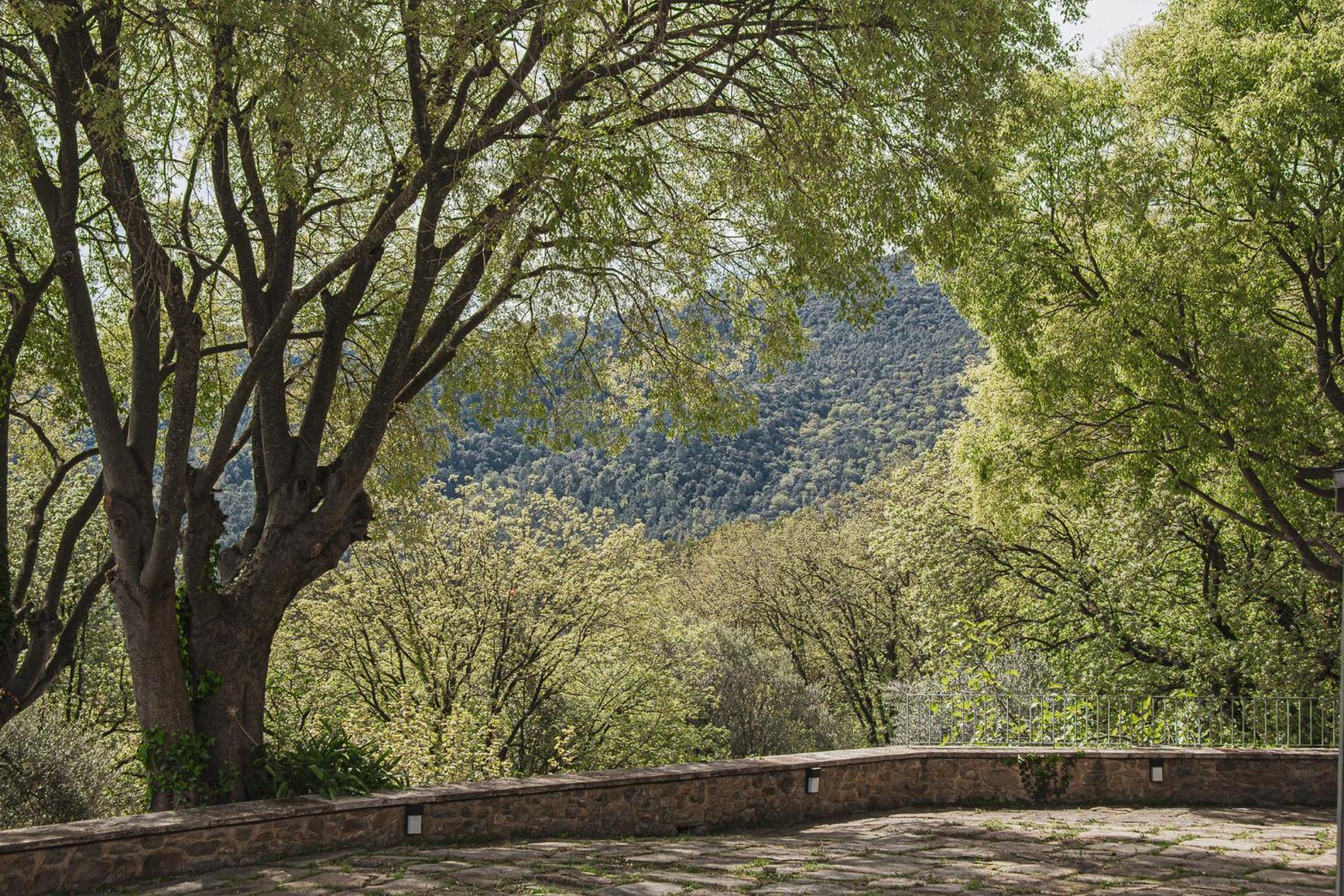 Mas Rovira Pensionat Banyoles Exteriör bild